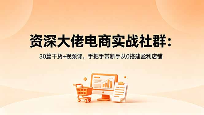 资深大佬电商实战社群：30篇干货+视频课，手把手带新手从0搭建盈利店铺-源创文化:轻创终点站