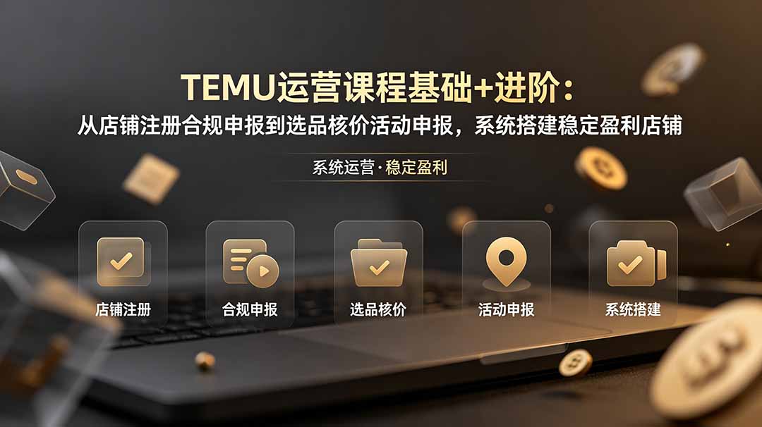TEMU运营课程(基础+进阶-源创文化:轻创终点站