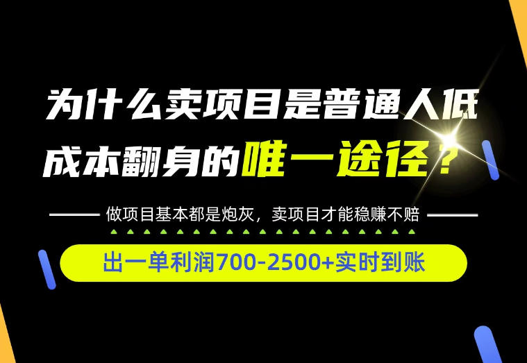 普通人如何靠互联网賺取自己的第一桶金！全类目实操型教学，看完你全都懂了！【揭秘】-轻创终点站