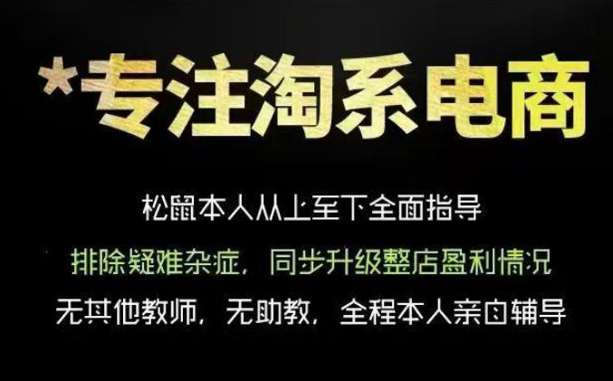 松鼠会电商VIP课程，从基础布局到高阶优化，助你掌握淘宝运营逻辑，提升店铺流量与转化(更新0809)-轻创终点站