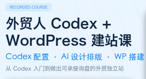 大卫·外贸人Codex + WordPress建站课(更新8月)-轻创终点站