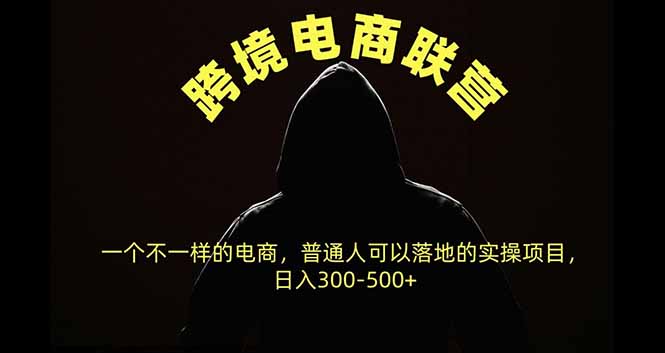 跨境电商联营,一个不一样的电商,普通人可操作日入300-500+-轻创终点站