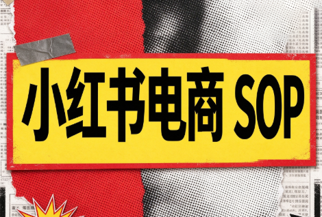 书豪必胜小红书电商sop(更新9月)-轻创终点站