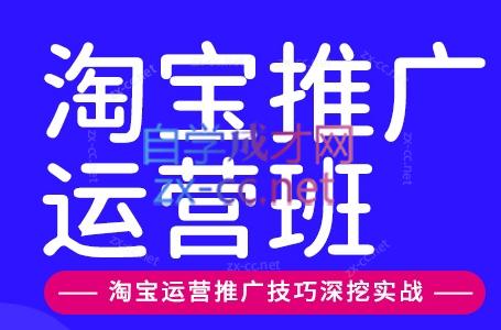 美迪电商·淘宝高级运营班+推广运营班(更新9月)-轻创终点站