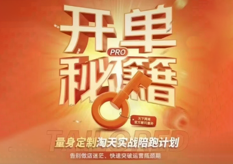 天下网商·淘宝天猫陪跑计划(更新10月)-轻创终点站