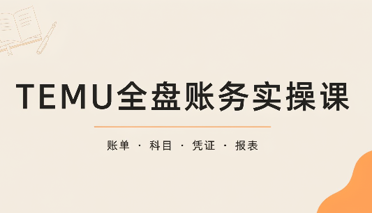 TEMU全盘账务实操课：账单导出、科目设置、利润核算-轻创终点站