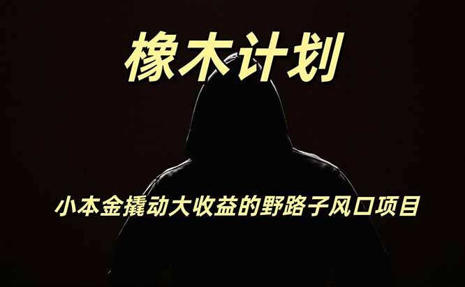 橡木计划，小投入撬动高回报的风口野路子项目，一天投入2小时左右-轻创终点站