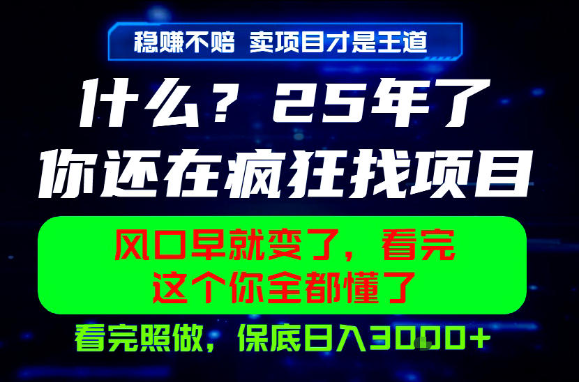 26年，请不要疯狂的找项目做了！卖项目才是真的稳賺不赔，看完照做，保底日入1k+【揭秘】-源创文化:轻创终点站