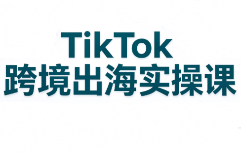 彭老师·TikTok跨境出海实操课-轻创终点站