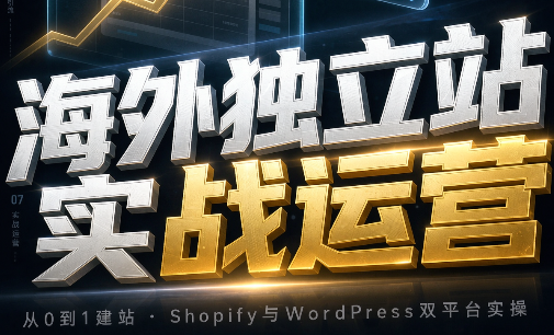 海外独立站实战运营-轻创终点站