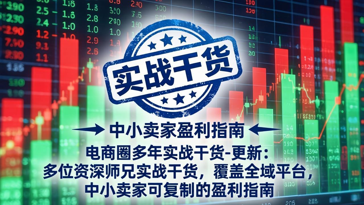 电商圈多年实战干货-更新5月20：多位资深师兄实战干货/覆盖全域平台，中小卖家可复制的盈利指南-源创文化:轻创终点站