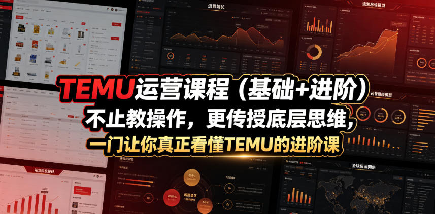 TEMU运营课程(基础+进阶)，不止教操作，更传授底层思维，一门让你真正看懂TEMU的进阶课-源创文化:轻创终点站