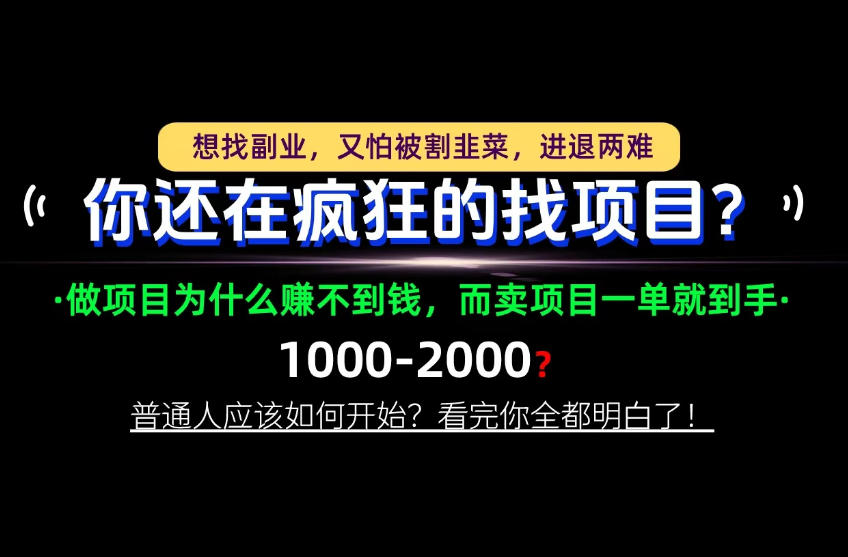 你还在疯狂的找项目？别傻了！卖项目才是真正的一本万利！怎么做，看完你全都明白！【揭秘】-轻创终点站