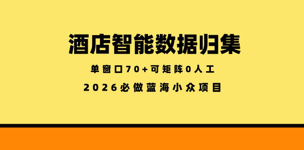 酒店智能数据归集，小众蓝海已经稳定半年之久，单窗口70+零成本矩阵开干【揭秘】-源创文化:轻创终点站