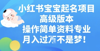 小红书宝宝起名项目高级版本，操作简单，资料专业，月入过W-源创文化:轻创终点站