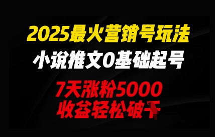 2025最火营销号玩法：小说推文0基础起号，7天涨粉5000，收益轻松破k-源创文化:轻创终点站