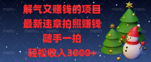 解气又挣钱的项目，最新违章拍照挣钱，随手一拍，轻松收入数张【揭秘】-源创文化:轻创终点站